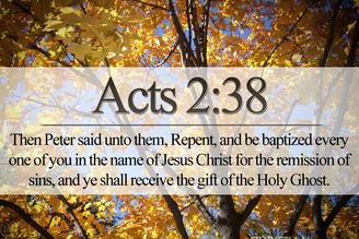 Acts 2:28